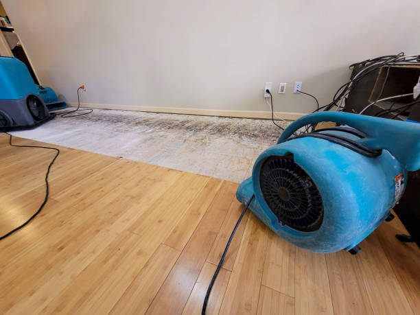 Professional Water Damage Repair technician working in USA